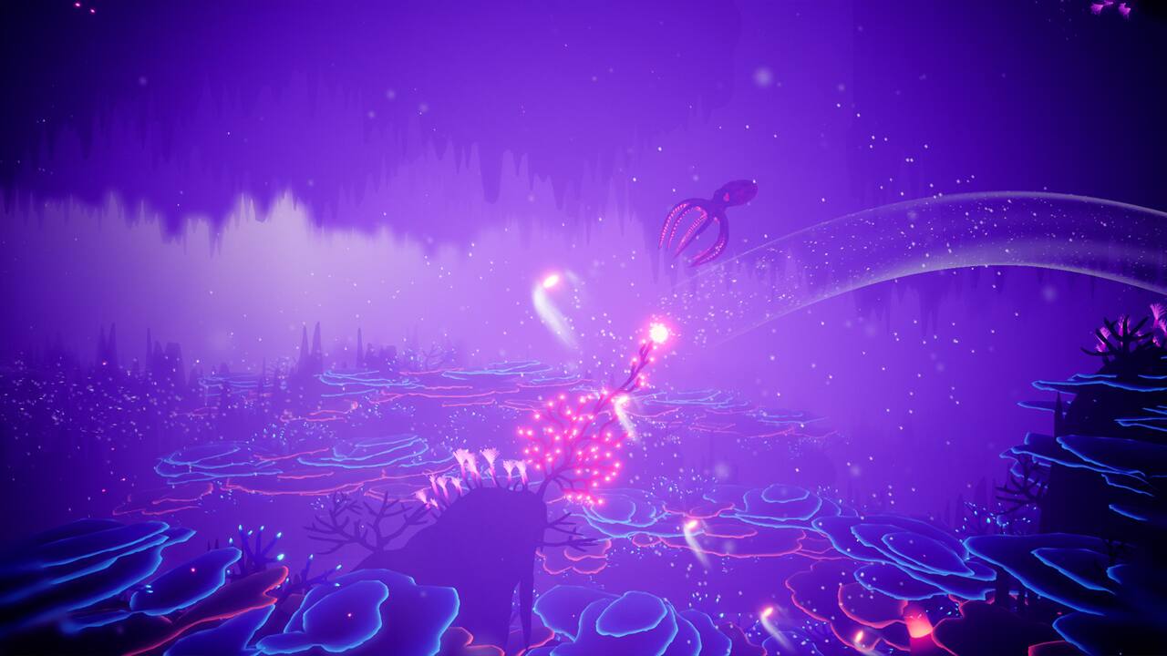 KORAL-image-1f3d2ba0